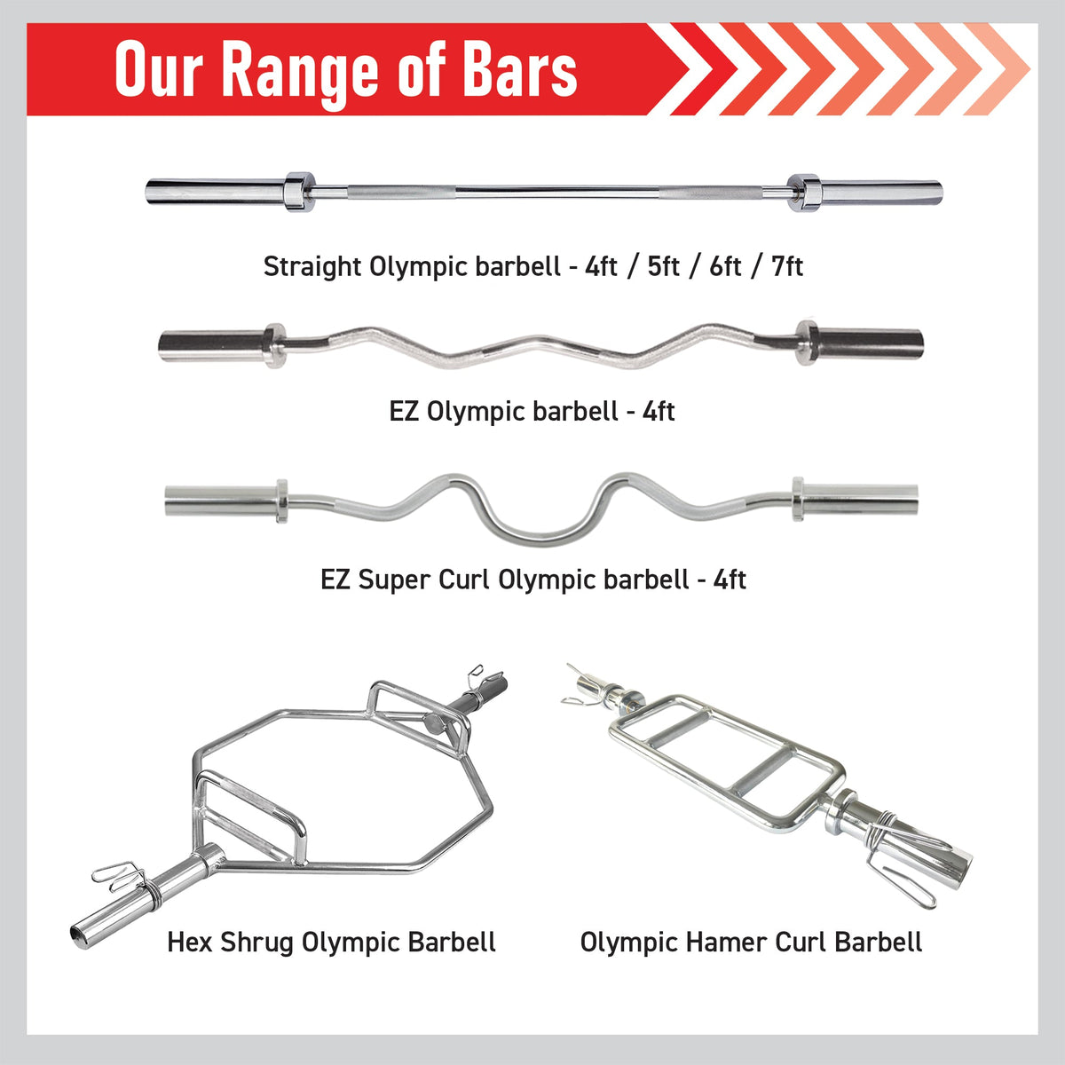 Types of ez curl bars sale